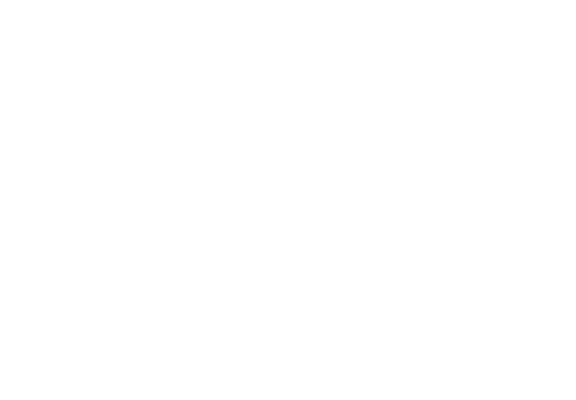 PCA – logo firmy